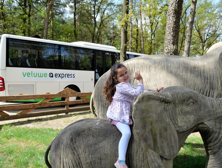 Veluwe Express